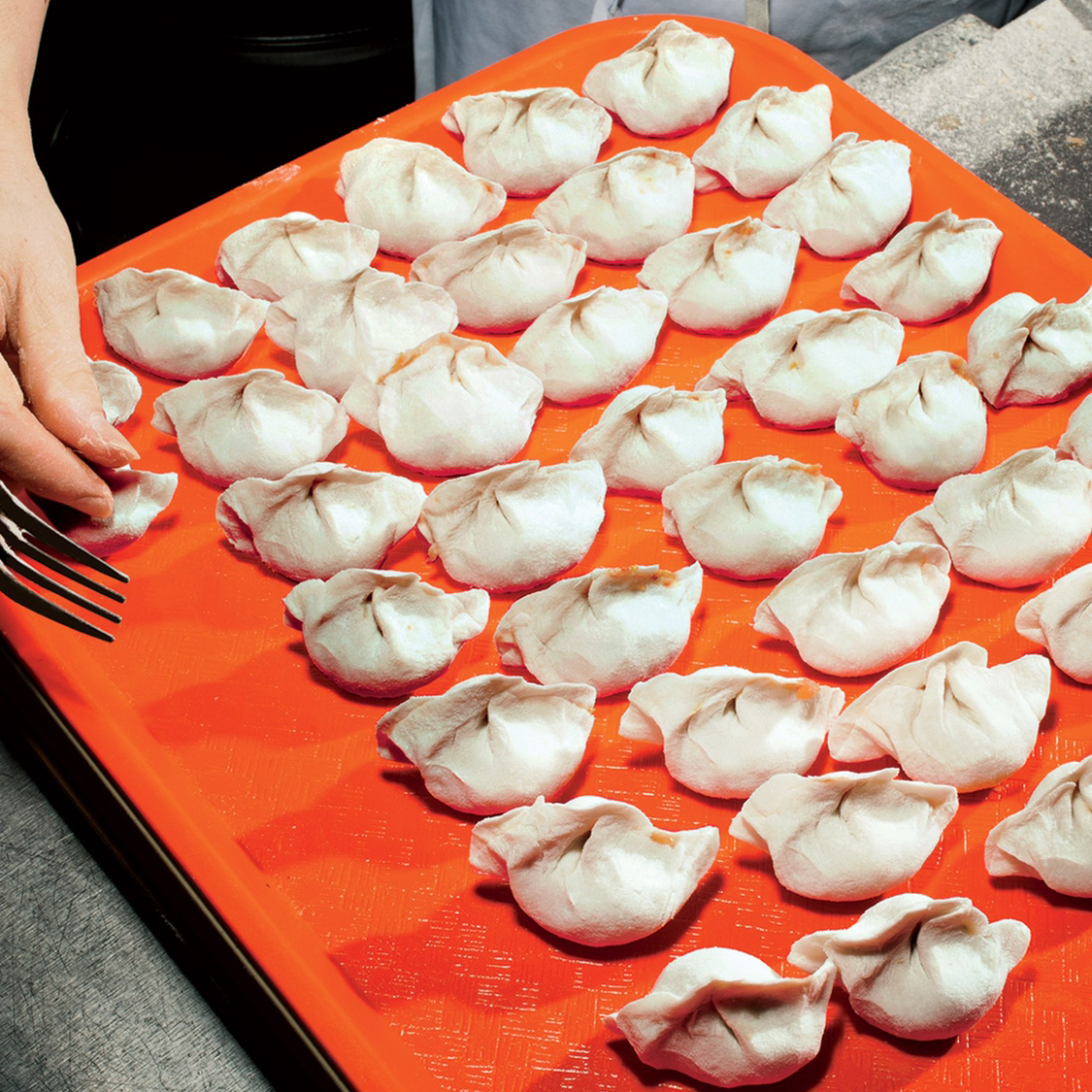 Hand Made Dumplings 