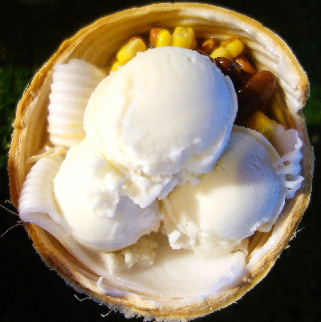  Coconut ice cream